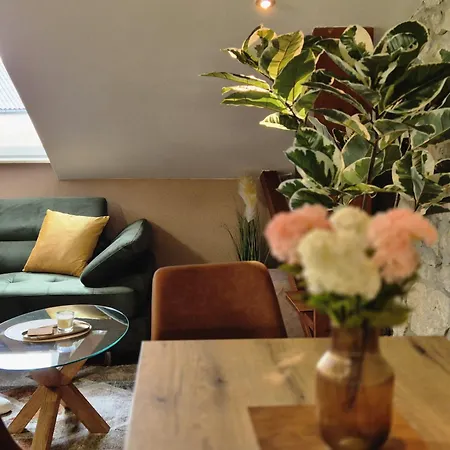 Rooftop Lucylu Apartment